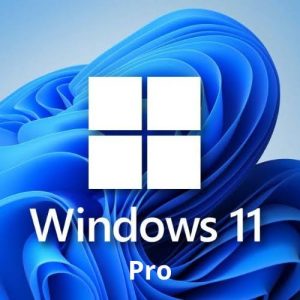 Windows 11 Professional 32/64 bit (Product Key)