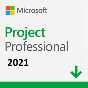 MICROSOFT PROJECT 2021 PROFESSIONAL KEY